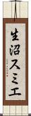 生沼スミエ Scroll