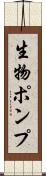 生物ポンプ Scroll