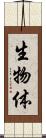 生物体 Scroll