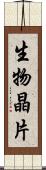 生物晶片 Scroll