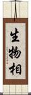 生物相 Scroll