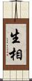 生相 Scroll
