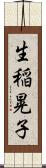 生稲晃子 Scroll