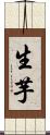 生芋 Scroll