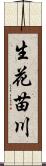 生花苗川 Scroll