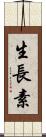 生長素 Scroll