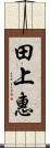 田上惠 Scroll