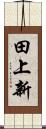 田上新 Scroll