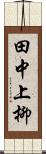 田中上柳 Scroll