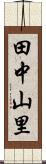 田中山里 Scroll