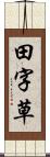 田字草 Scroll