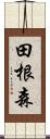 田根森 Scroll