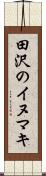 田沢のイヌマキ Scroll
