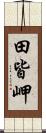 田皆岬 Scroll