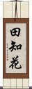 田知花 Scroll