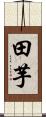 田芋 Scroll