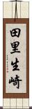 田里生崎 Scroll