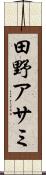田野アサミ Scroll