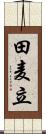 田麦立 Scroll