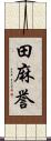 田麻誉 Scroll