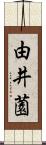 由井薗 Scroll