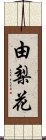 由梨花 Scroll