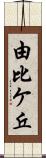 由比ケ丘 Scroll