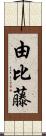 由比藤 Scroll