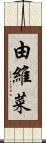 由維菜 Scroll