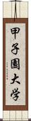 甲子園大学 Scroll