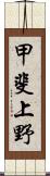 甲斐上野 Scroll