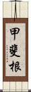 甲斐根 Scroll