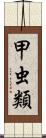 甲虫類 Scroll
