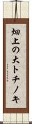 畑上の大トチノキ Scroll