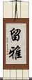 留雅 Scroll