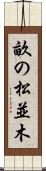 畝の松並木 Scroll