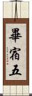 畢宿五 Scroll