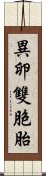 異卵雙胞胎 Scroll