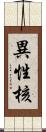 異性核 Scroll