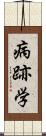 病跡学 Scroll