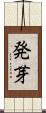 発芽 Scroll