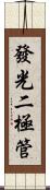 發光二極管 Scroll