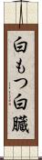 白もつ Scroll