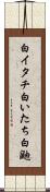 白イタチ Scroll