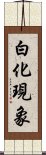 白化現象 Scroll