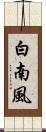 白南風 Scroll