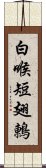 白喉短翅鶇 Scroll