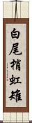 白尾梢虹雉 Scroll