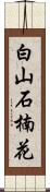 白山石楠花 Scroll