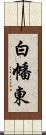 白幡東 Scroll